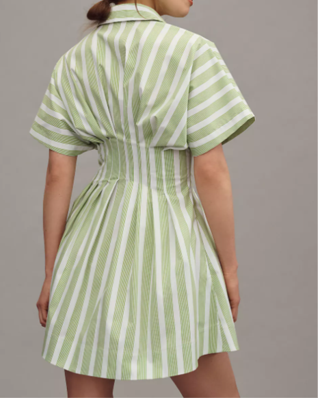 Nipped Waist, Button Front Pleated Shirt Dress: Mini