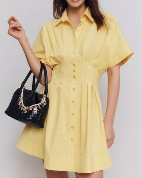 Nipped Waist, Button Front Pleated Shirt Dress: Mini