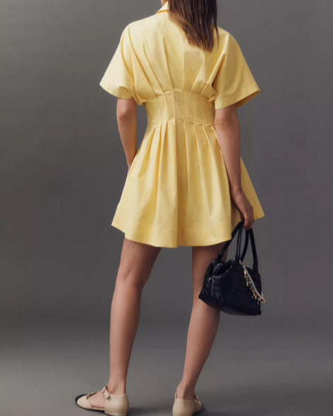 Nipped Waist, Button Front Pleated Shirt Dress: Mini