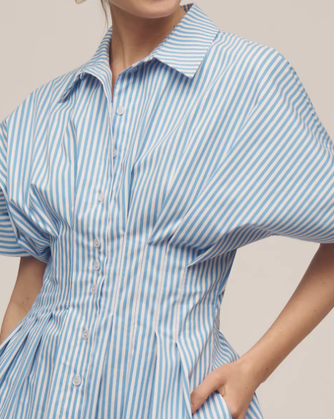 Nipped Waist, Button Front Pleated Shirt Dress: Mini