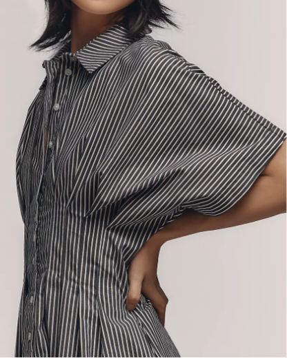 Nipped Waist, Button Front Pleated Shirt Dress: Mini
