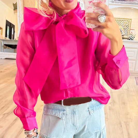 Bow Neckline Long Sleeve Shirt