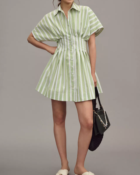 Nipped Waist, Button Front Pleated Shirt Dress: Mini