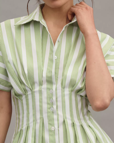 Nipped Waist, Button Front Pleated Shirt Dress: Mini