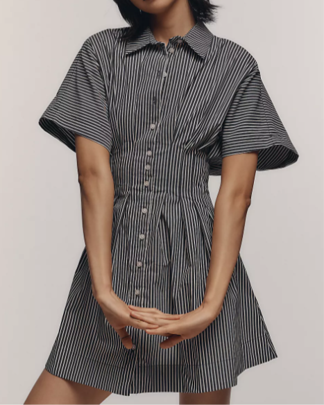 Nipped Waist, Button Front Pleated Shirt Dress: Mini