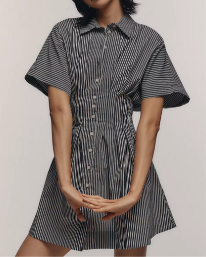 Nipped Waist, Button Front Pleated Shirt Dress: Mini