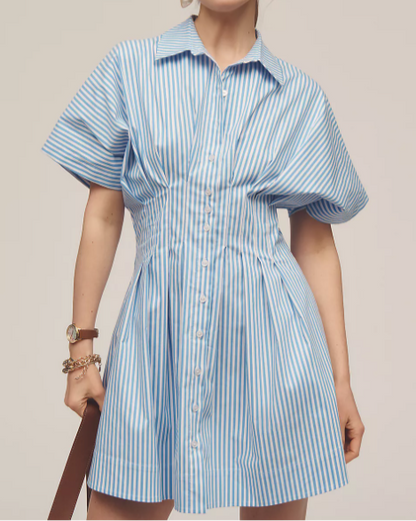 Nipped Waist, Button Front Pleated Shirt Dress: Mini