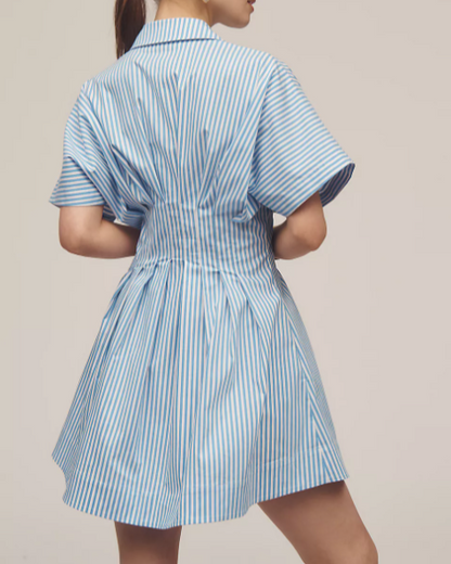 Nipped Waist, Button Front Pleated Shirt Dress: Mini