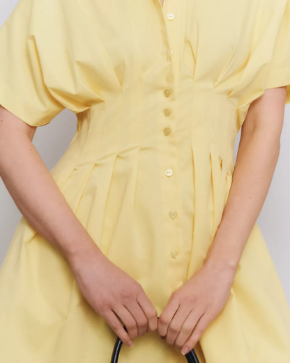 Nipped Waist, Button Front Pleated Shirt Dress: Mini